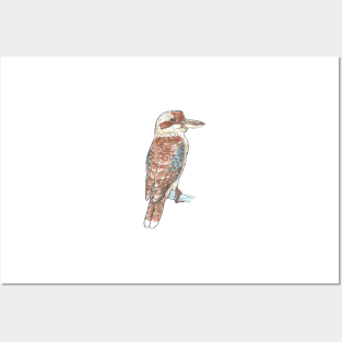 Laughing Kookaburra Posters and Art